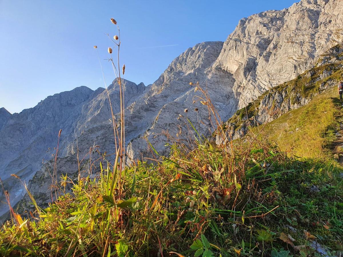 Ferienwohnungen Gaestehaus Laercheck Berchtesgaden Buitenkant foto